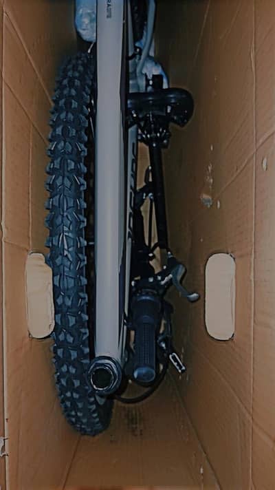 Insync Mountain Bike Imported