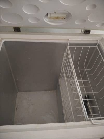freezer