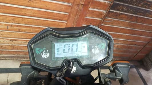 Crown Knighter Rider 2025 03132023695