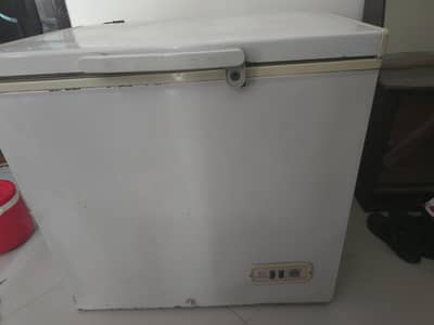 Dawnlance  Deep Freezer  single door