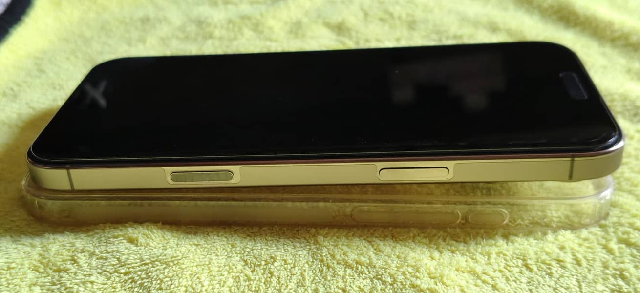 Apple iPhone 16 Pro Max 2