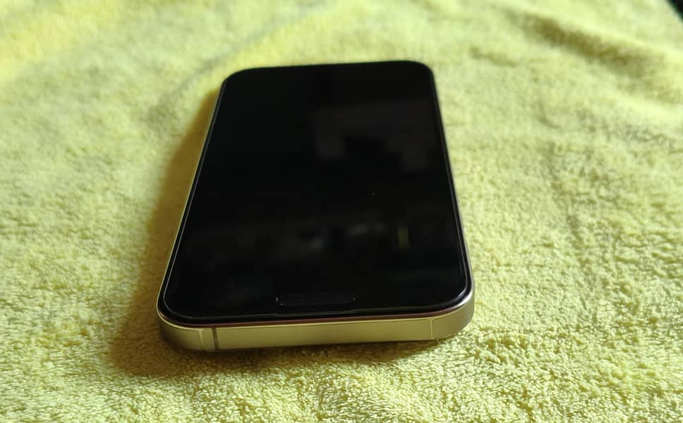 Apple iPhone 16 Pro Max 4