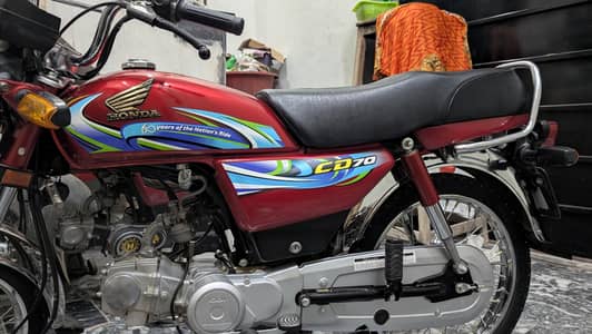 CD 70 2024 lush condition