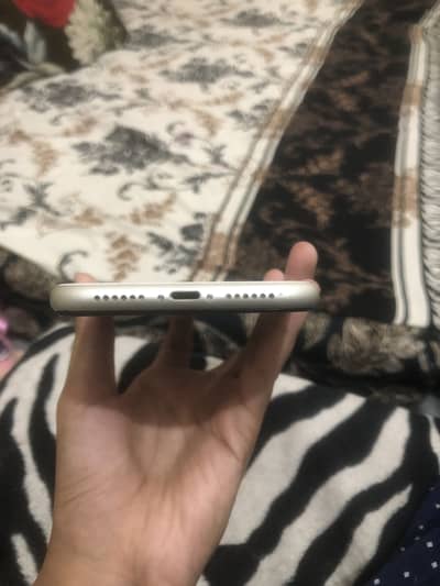 Apple iPhone 11 03204686101