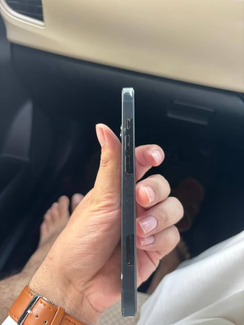 Apple iPhone 13 0