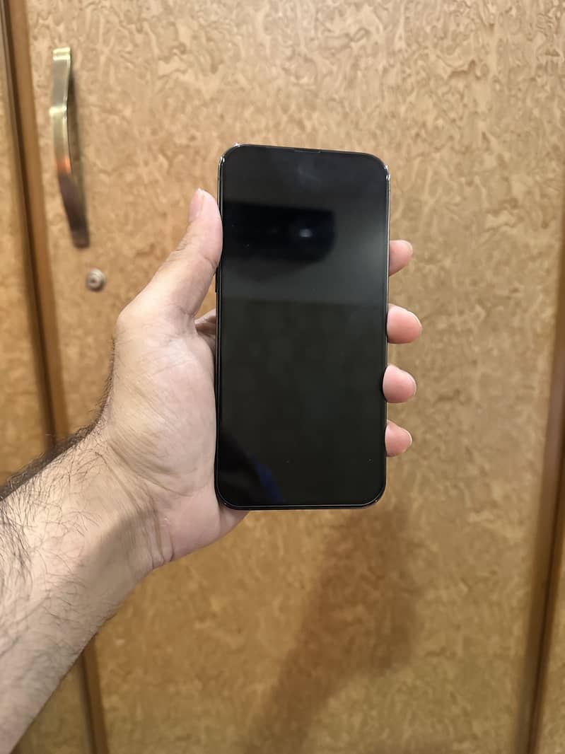 iPhone 13 Pro Max 1