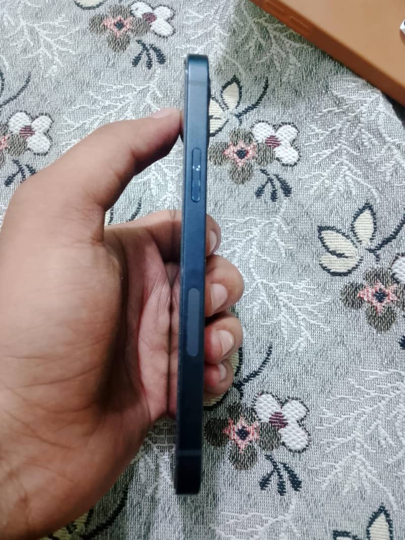 Apple iPhone 12 1