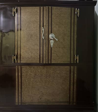 Peti Safe/ Huge Storage Organized
