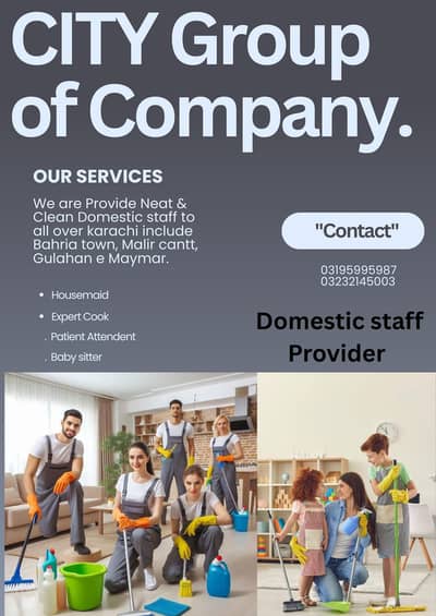 maids, baby sitter, cook , driver , attendent etc.