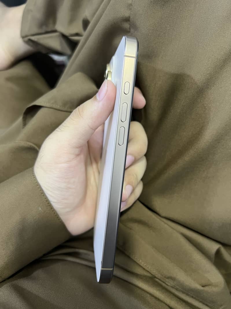 Apple iPhone 16 Pro Max 1