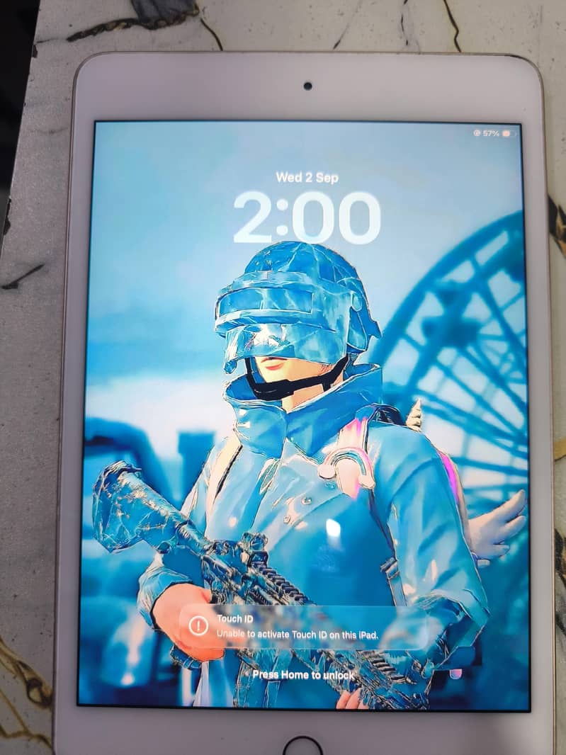 ipad mini5 0