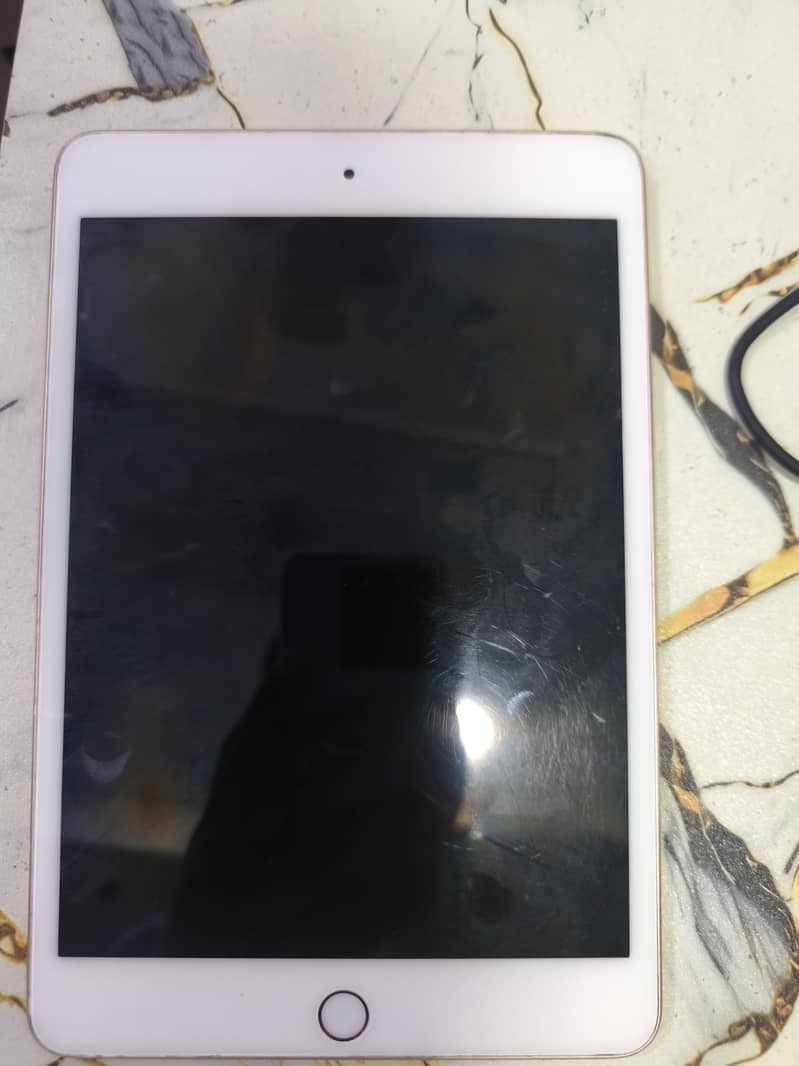 ipad mini5 1