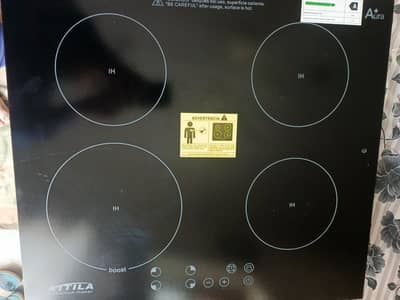 4 in 1 eclectic stove induction model
