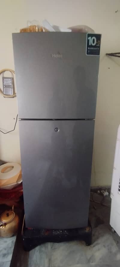 Haier Medium size fridge