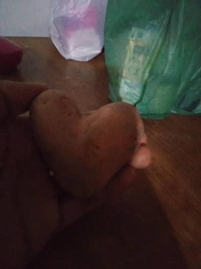  Naturally Heart-Shaped Potato  — Unique Find