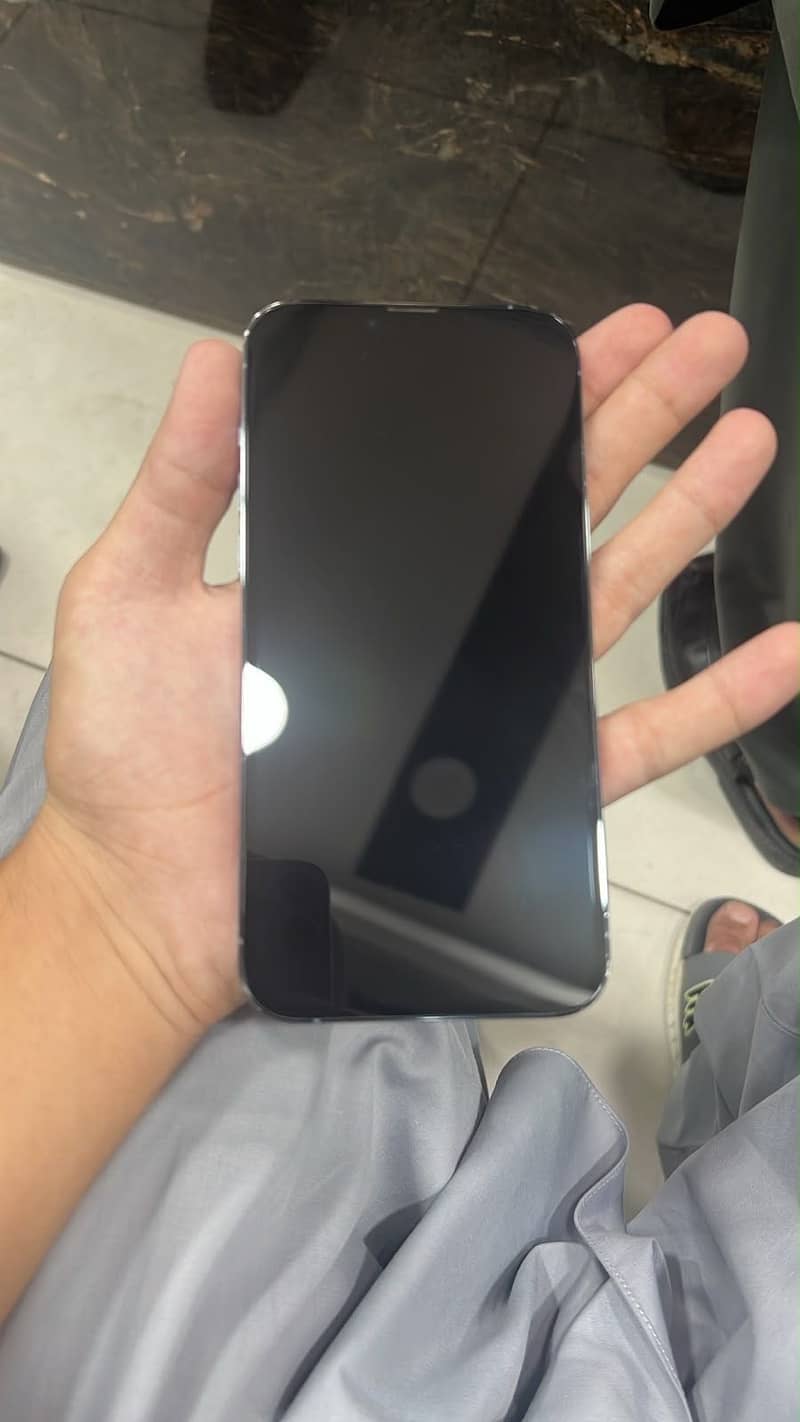 Apple iPhone 13 Pro Max 1