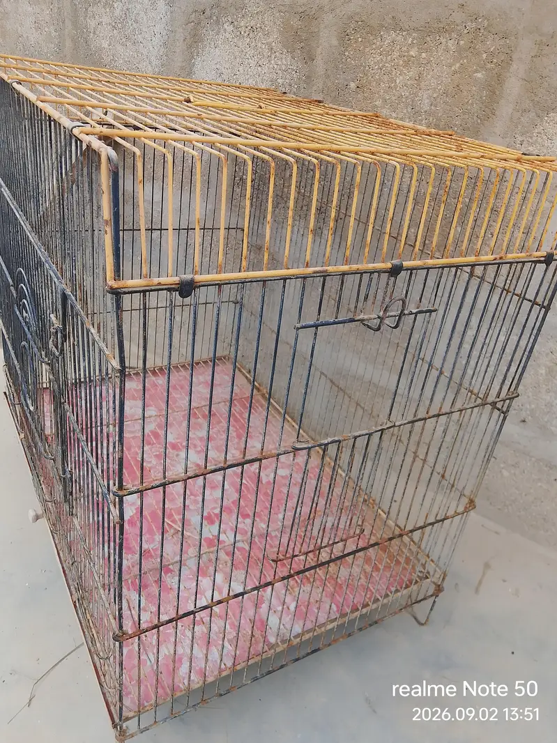 Extra Durable Metal Bird Cage with Removable Tray & Top Handle — photo 2