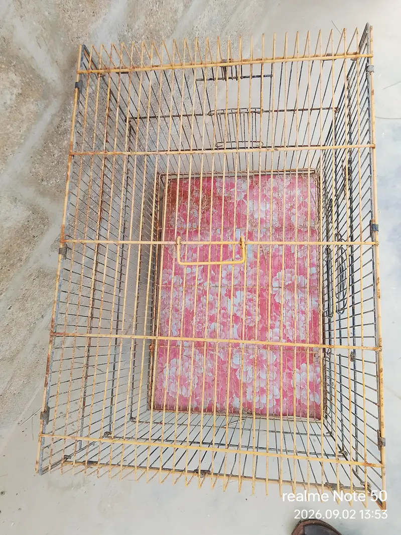 Extra Durable Metal Bird Cage with Removable Tray & Top Handle — photo 4