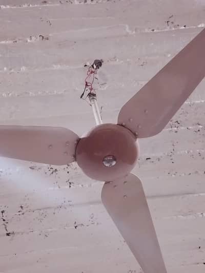ceiling fan