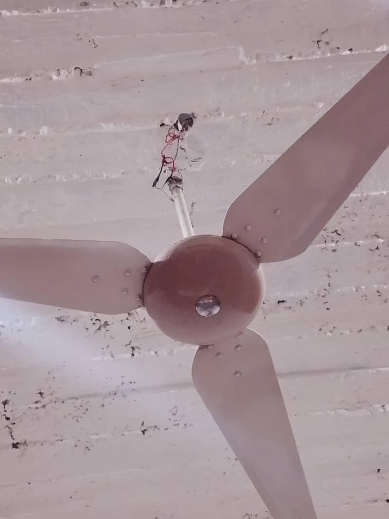 ceiling fan 0