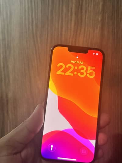 Apple iPhone 13 Pro