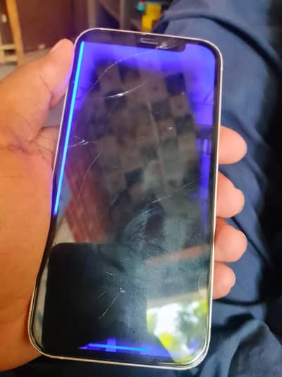 Apple iPhone 12 non pta 128 gb