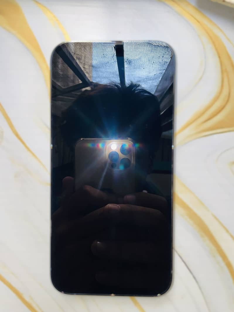 Apple iPhone 13 Pro jv 2