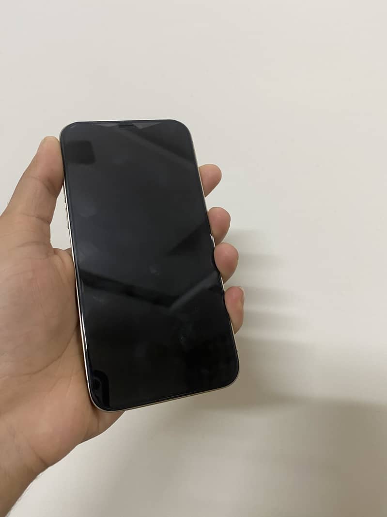 Apple iPhone 12 Pro 2