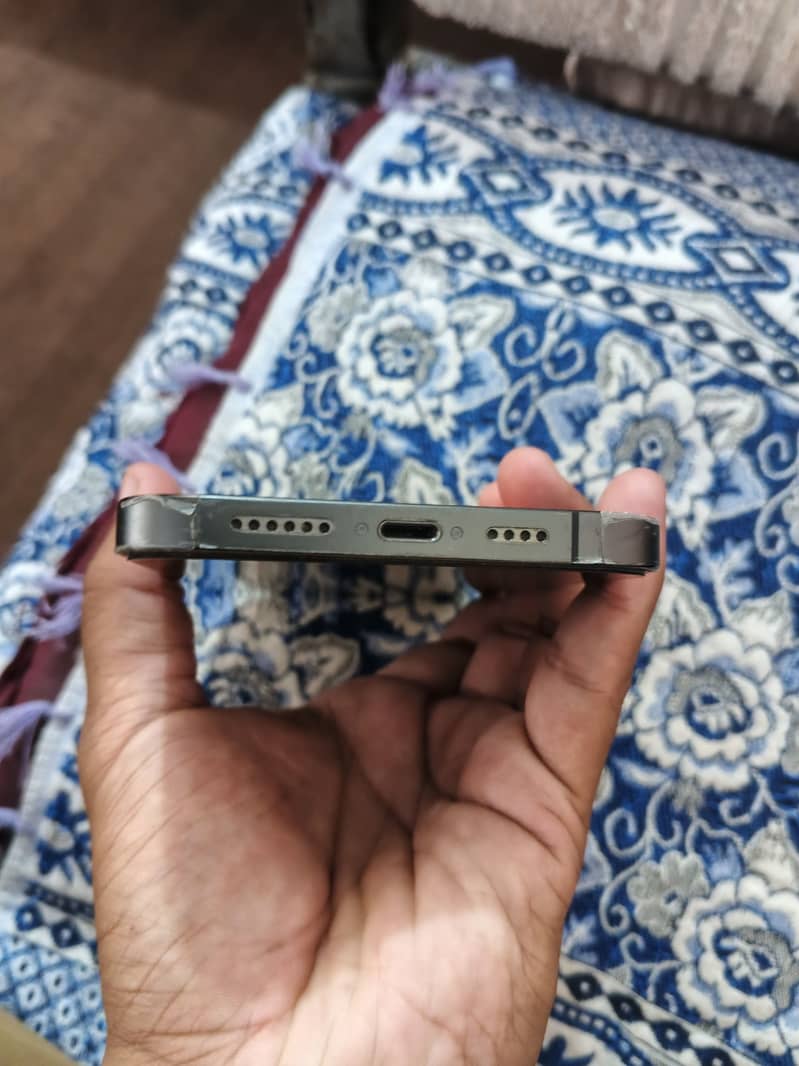 Apple iPhone 13 Pro Max 1