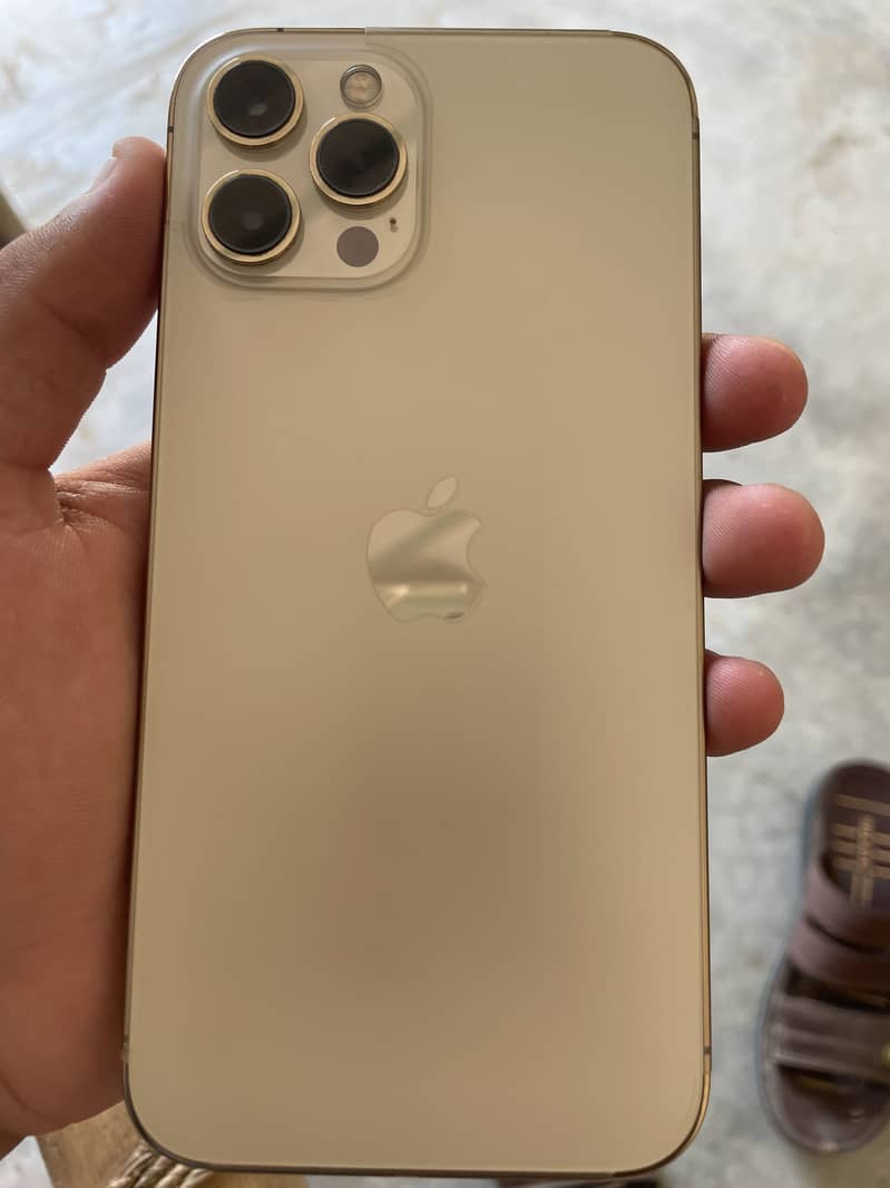 Apple iPhone 12 Pro Max 1