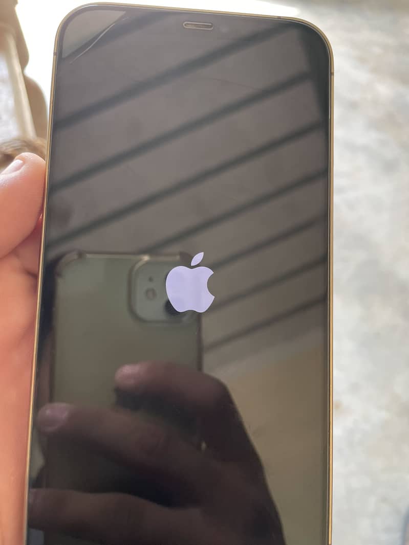 Apple iPhone 12 Pro Max 2