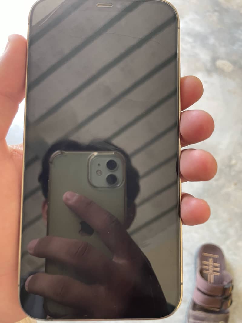 Apple iPhone 12 Pro Max 5