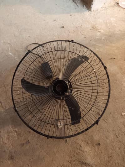 Ceiling Fan