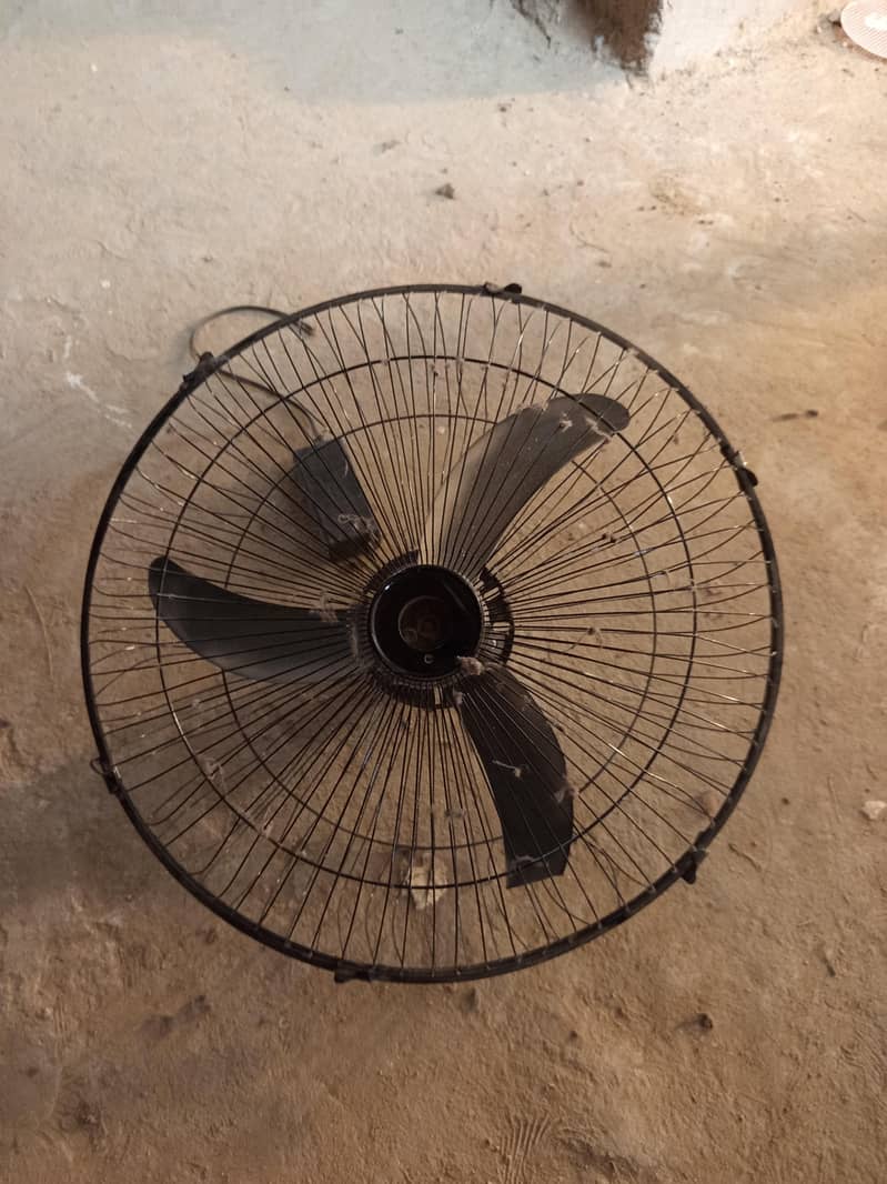 Ceiling Fan 0