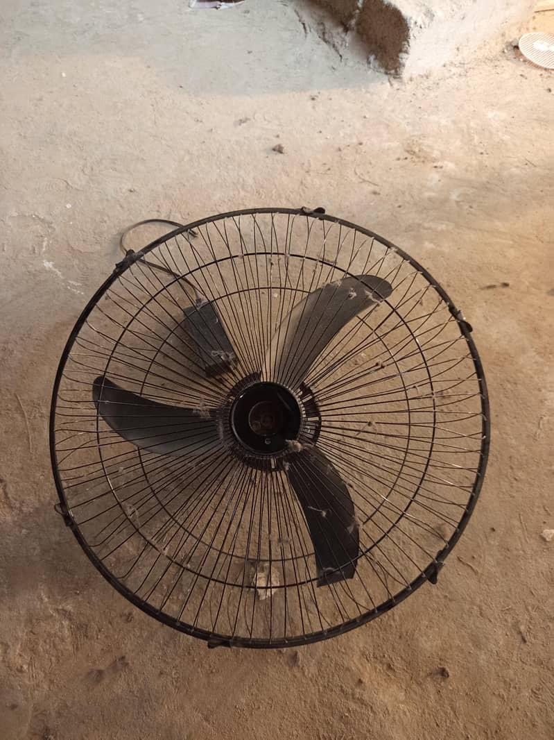 Ceiling Fan 1