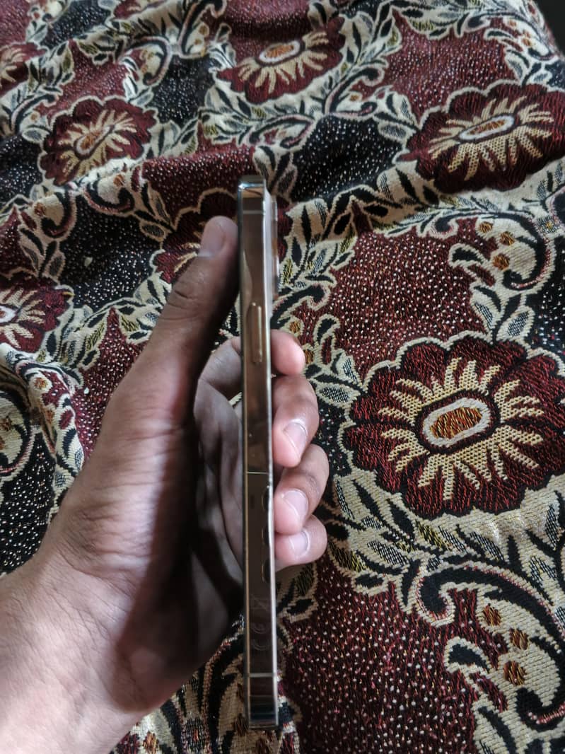 Apple iPhone 12 Pro Max 1