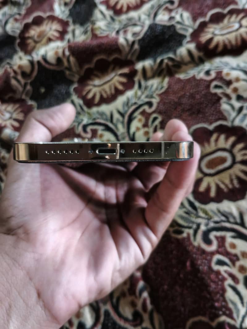 Apple iPhone 12 Pro Max 2