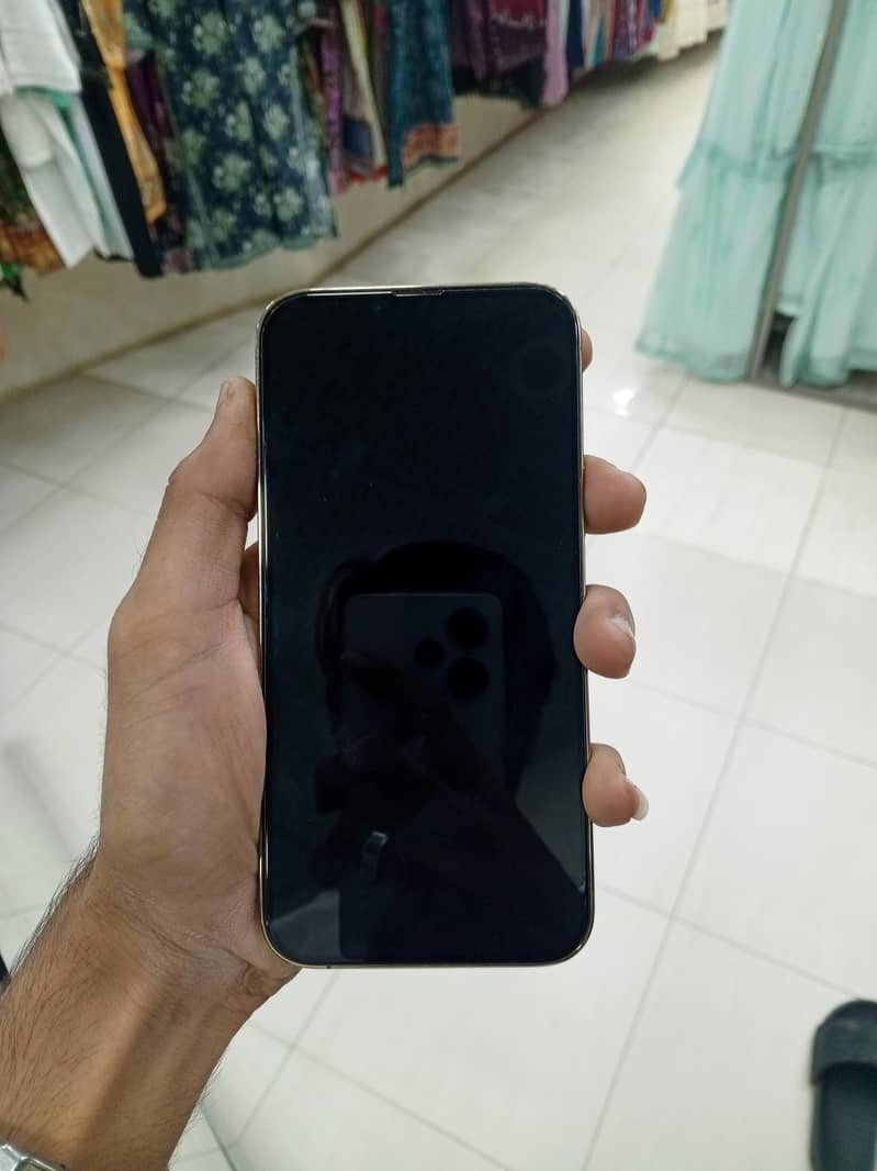 Apple iPhone 13 Pro Max 1