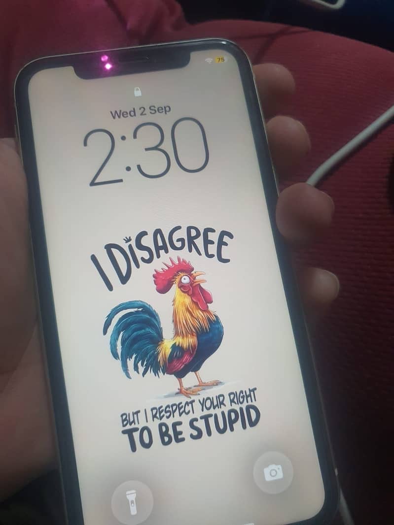 Apple iPhone 11 0