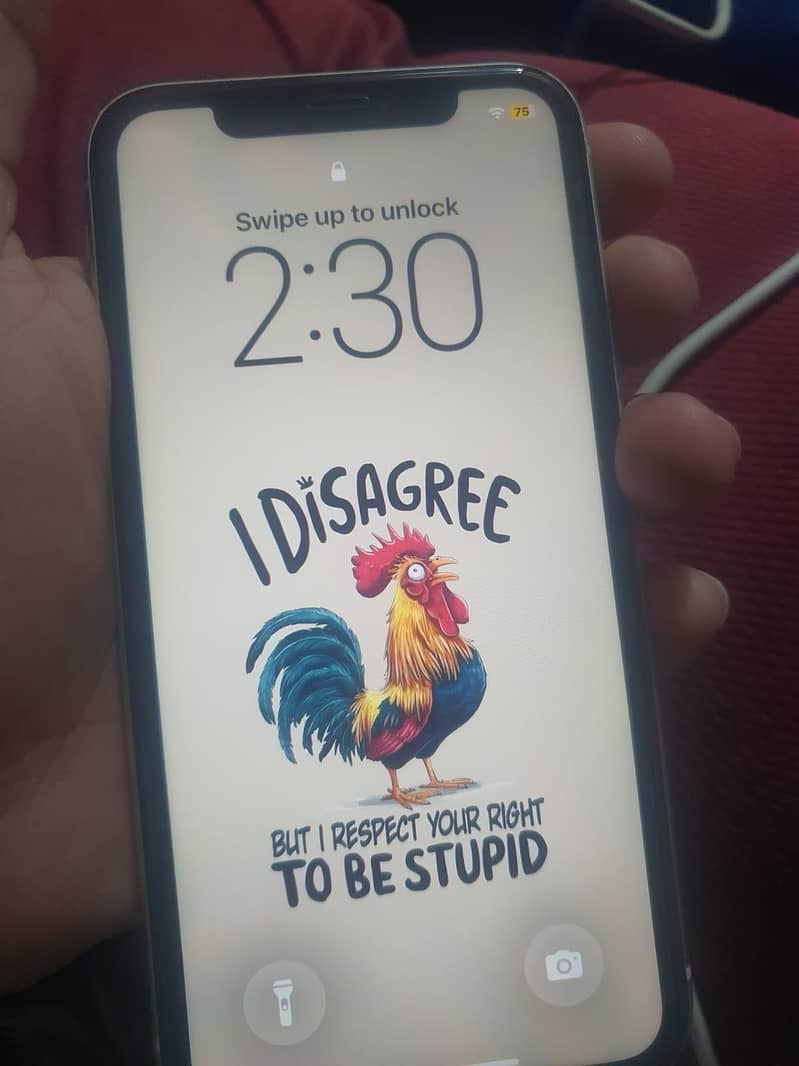 Apple iPhone 11 1