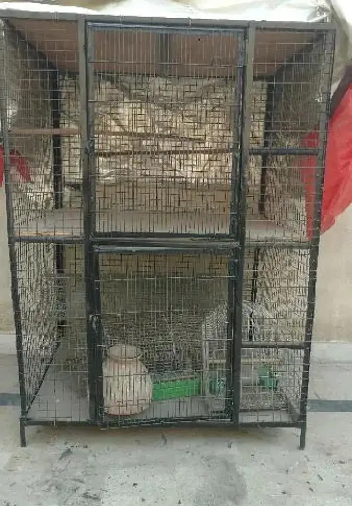 New Cage 4x2.5" hight 4" ft — photo 3