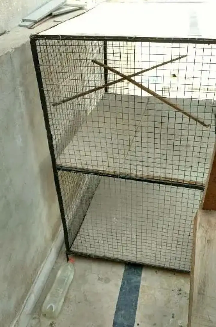 New Cage 4x2.5" hight 4" ft — photo 5