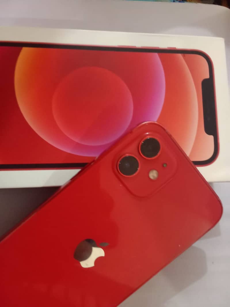 Apple iPhone 12 1