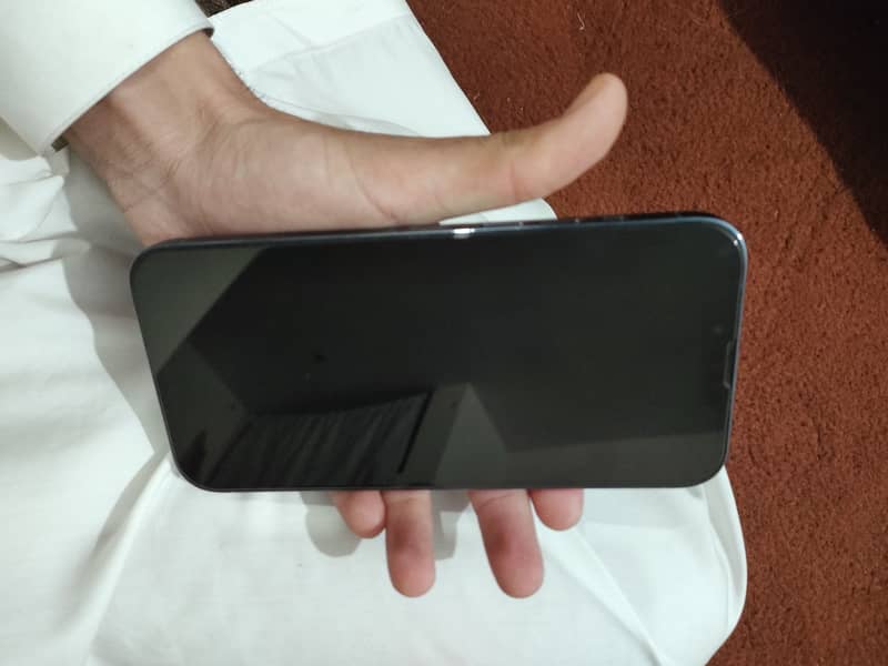 Apple iPhone 13 Pro Max 1