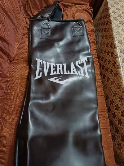 Everlast Boxing Bag