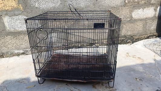 parrot cage