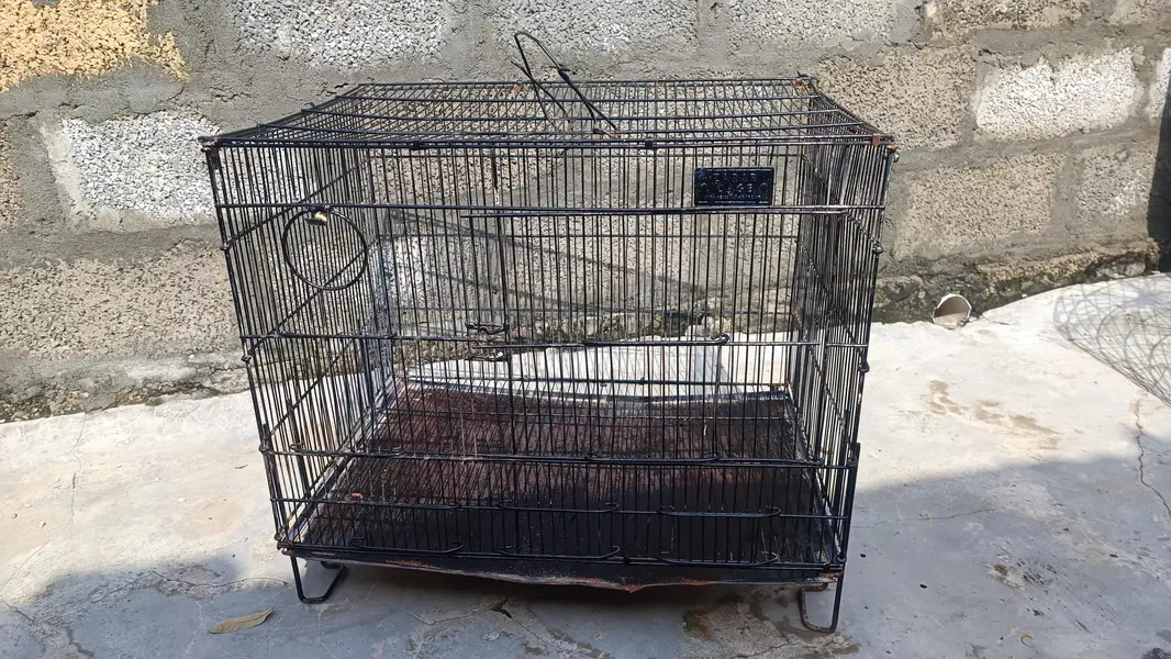 parrot cage — photo 2