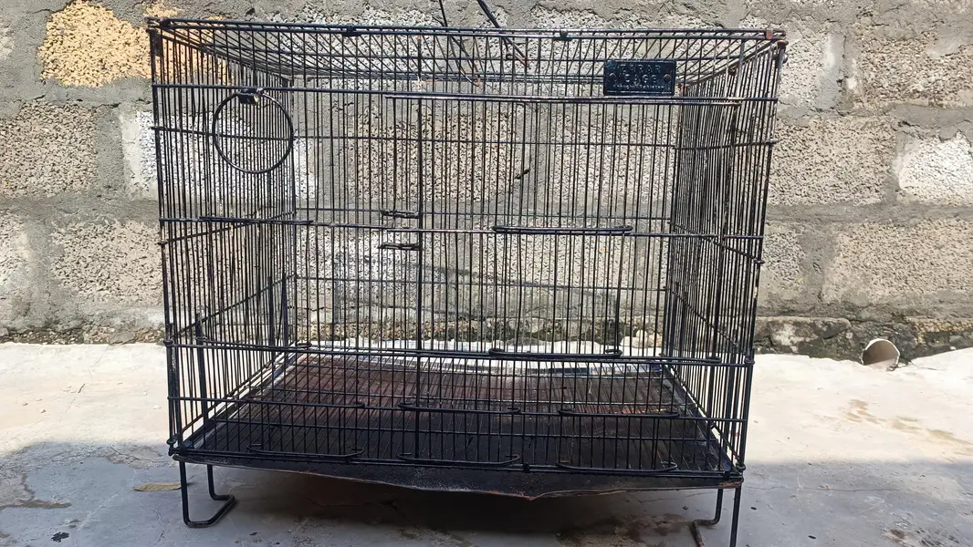 parrot cage — photo 3