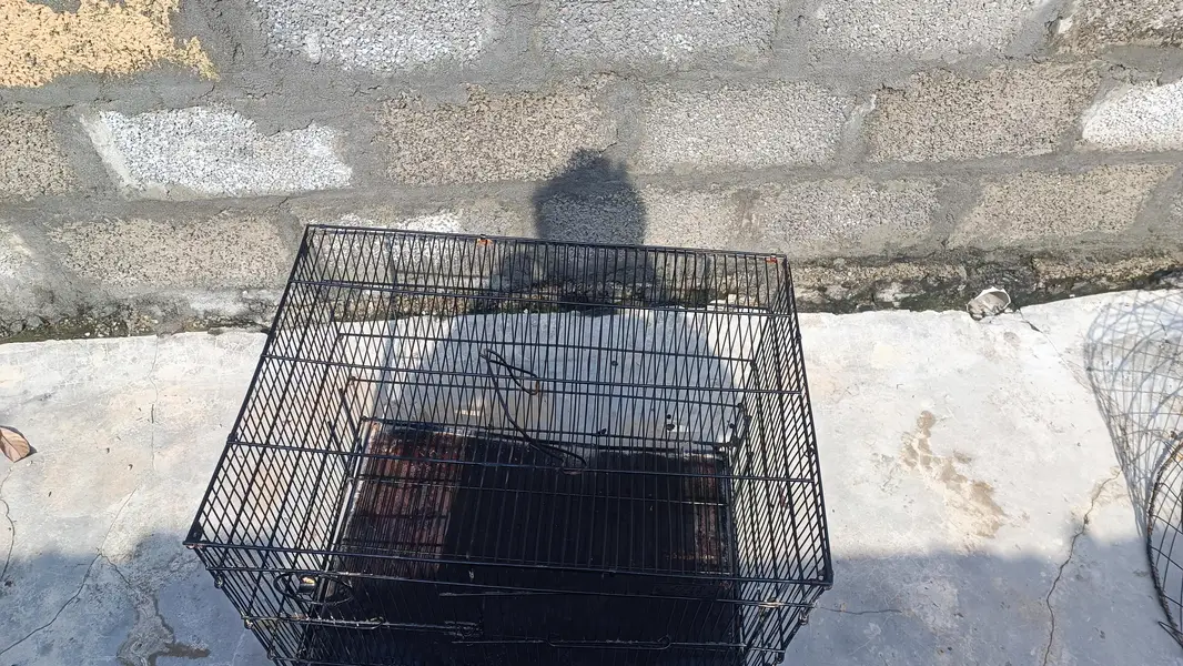 parrot cage — photo 4