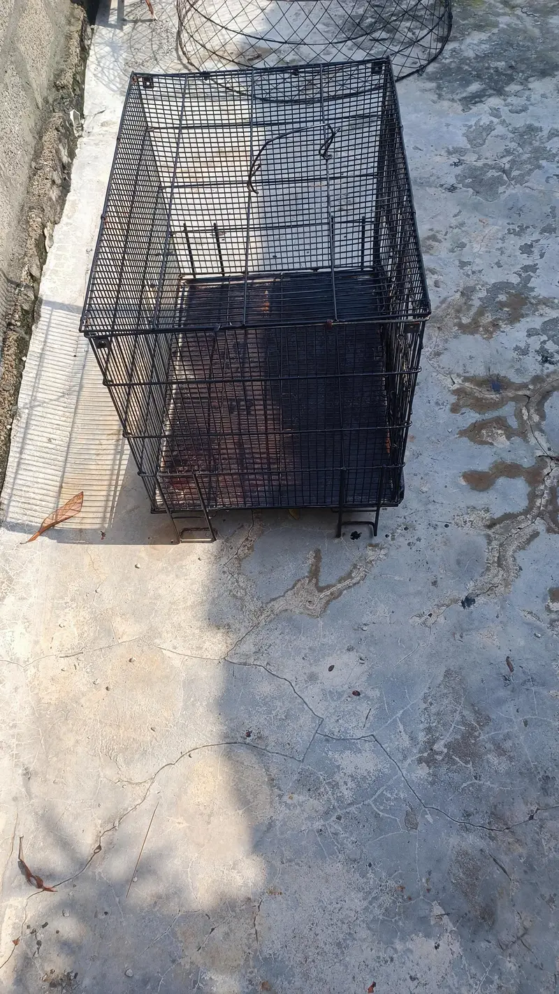 parrot cage — photo 5